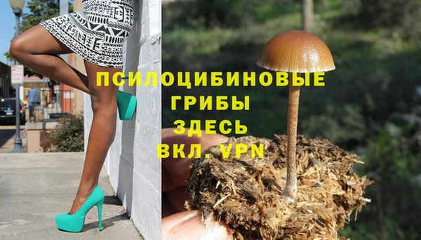 трава Баксан