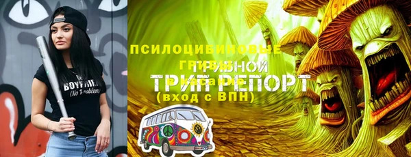 амф Балахна